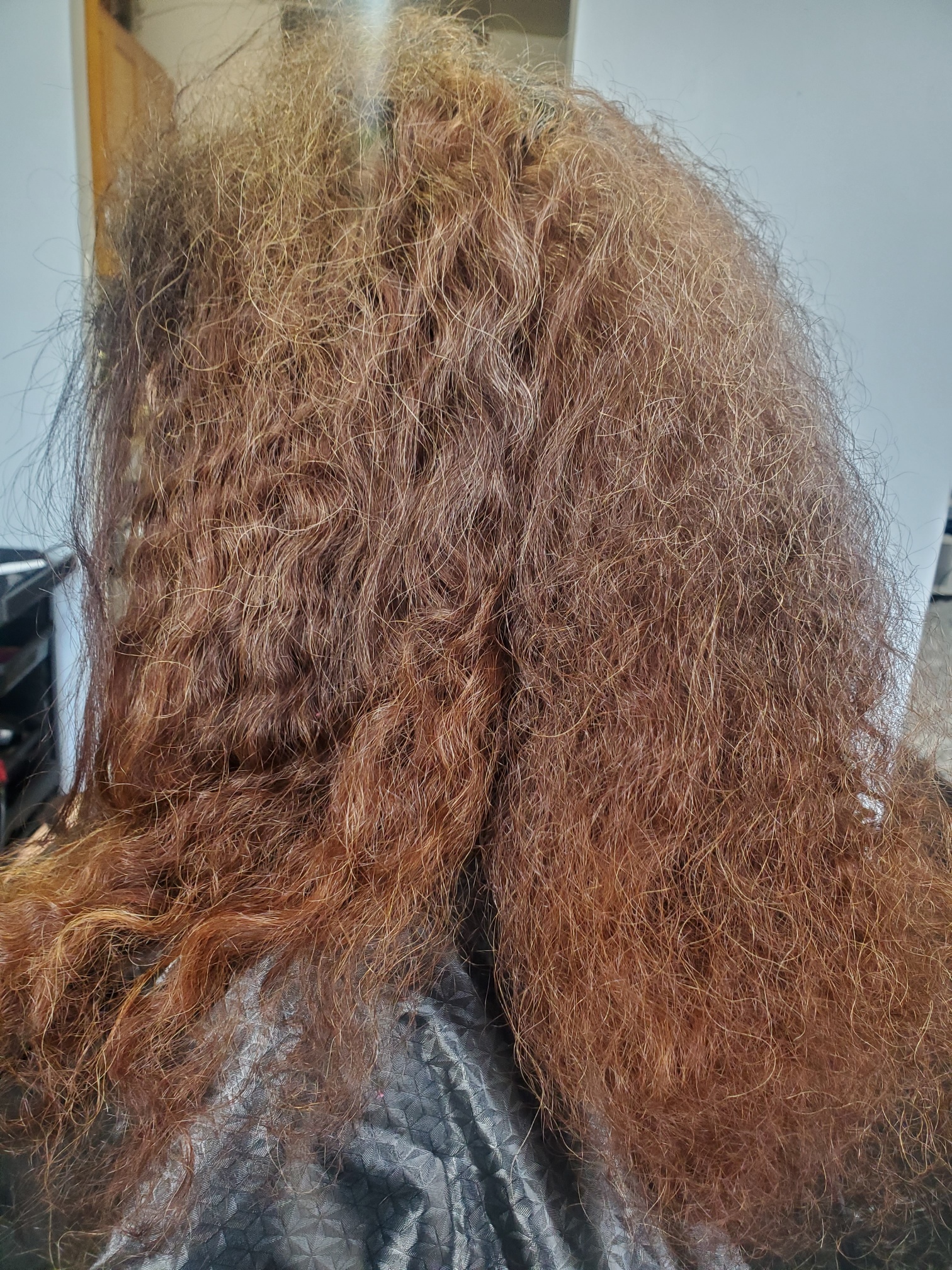 Before treatment — frizzy hair transformation